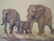 Elephants