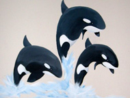 Killer Whales